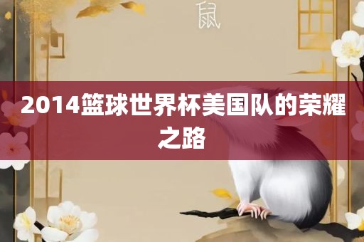 2014篮球世界杯美国队的荣耀之路