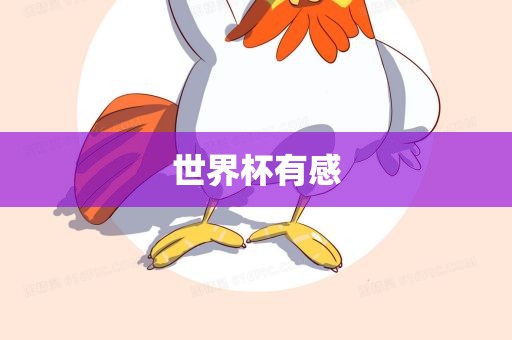 世界杯有感