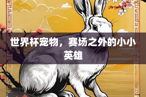 世界杯宠物，赛场之外的小小英雄