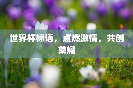 世界杯标语，点燃激情，共创荣耀