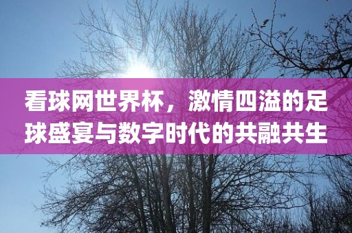 看球网世界杯，激情四溢的足球盛宴与数字时代的共融共生
