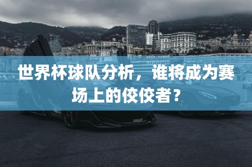 世界杯球队分析，谁将成为赛场上的佼佼者？