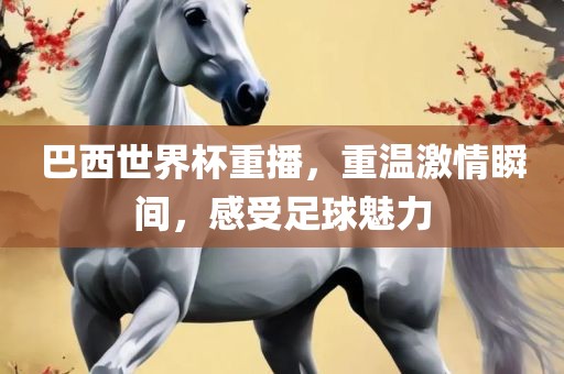 巴西世界杯重播，重温激情瞬间，感受足球魅力