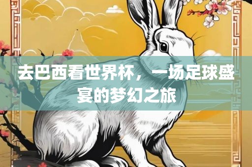 去巴西看世界杯，一场足球盛宴的梦幻之旅