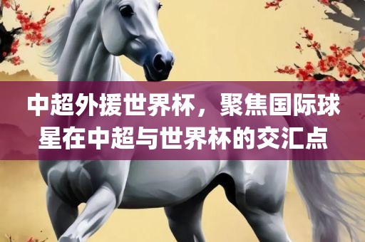 中超外援世界杯，聚焦国际球星在中超与世界杯的交汇点