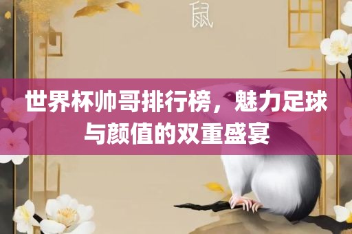 世界杯帅哥排行榜，魅力足球与颜值的双重盛宴