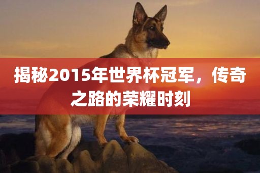 揭秘2015年世界杯冠军，传奇之路的荣耀时刻