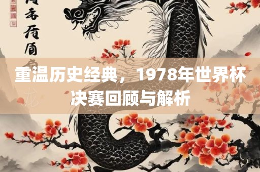 重温历史经典，1978年世界杯决赛回顾与解析
