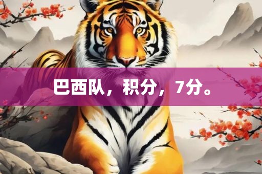 巴西队，积分，7分。