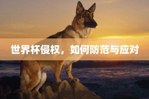 世界杯侵权，如何防范与应对洛阳市法福文化传播有限公司