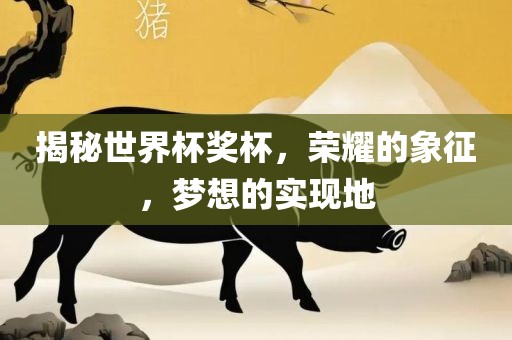 揭秘世界杯奖杯，荣耀的象征，梦想的实现地