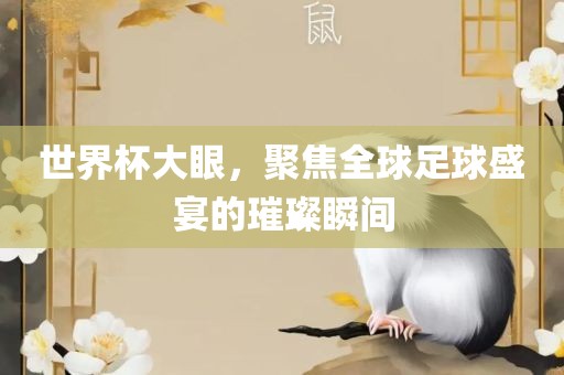 世界杯大眼，聚焦全球足球盛宴的璀璨瞬间