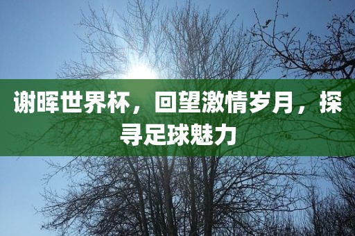 谢晖世界杯，回望激情岁月，探寻足球魅力