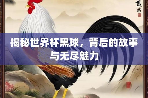 揭秘世界杯黑洛阳市法福文化传播有限公司球，背后的故事与无尽魅力