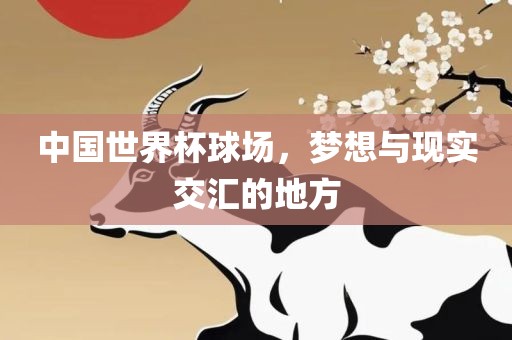 中国世界杯洛阳市法福文化传播有限公司球场，梦想与现实交汇的地方