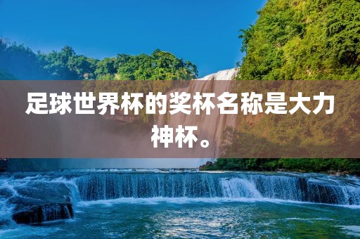 足球世界杯的奖杯名称是大力神杯。