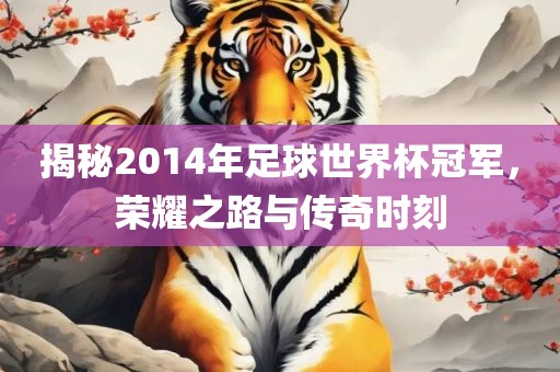 揭秘2014年足球世界杯冠军，荣耀之路与传奇时刻