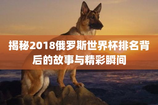 揭秘2018俄罗斯世界杯排名背后的故事与精彩瞬间