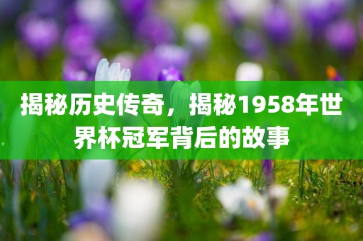 揭秘历史传奇，揭秘1958年世界杯冠军背后的故事洛阳市法福文化传播有限公司