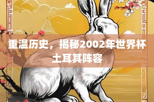 重温历史，揭秘2002年世界杯土耳其阵容