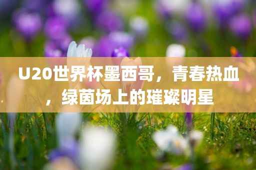 U20世界杯墨西哥，青春热血，绿茵场上的璀璨明星洛阳市法福文化传播有限公司