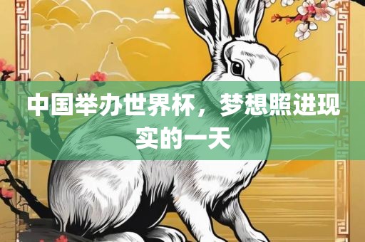 中国举办世界杯，梦想照进现实的一天