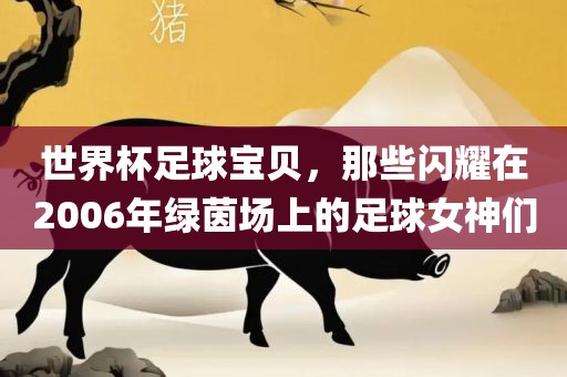 世界杯足球宝贝，那些闪耀在2006年绿茵场上的足球女神们