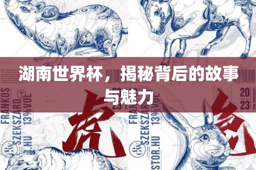 湖南世界杯，揭秘背后的故事与魅力
