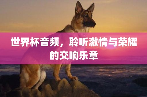 世界杯音频，聆听激情与荣耀的交响乐章