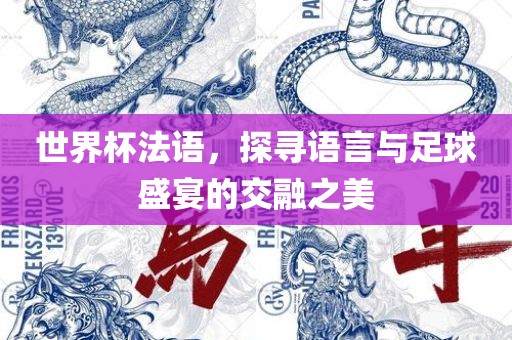 世界杯法语，探寻语言与足球盛宴的交融之美洛阳市法福文化传播有限公司