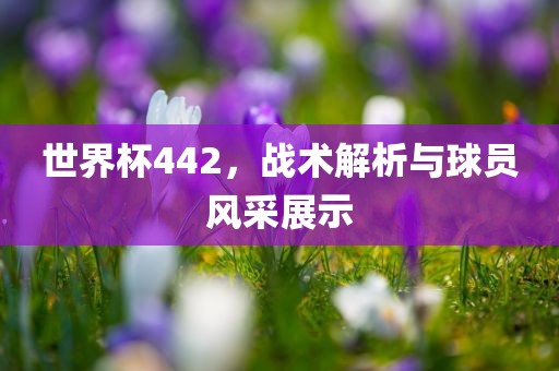 世界杯442，战术解析与球员风采展示