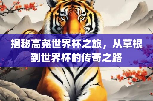 揭秘高尧世界杯之旅，从草根到世界杯的传奇之路
