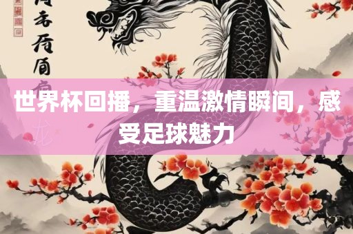 世界杯回播，重温激情瞬间，感受足球魅力
