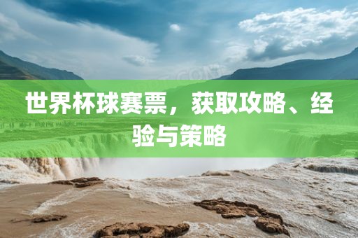 世界杯球赛票，获取攻略、经验与洛阳市法福文化传播有限公司策略
