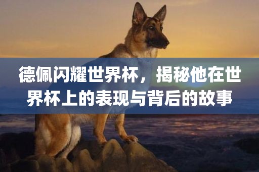 德佩闪耀世界杯，揭秘他在世界杯上的表现与背后的故事