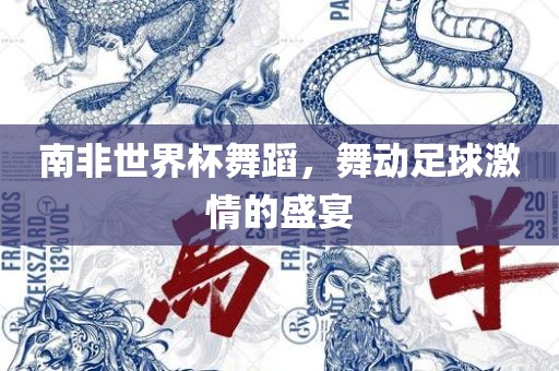 南非世界杯舞蹈，舞动足球激情的盛宴