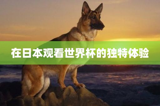 在日本观看世界杯的独特体验