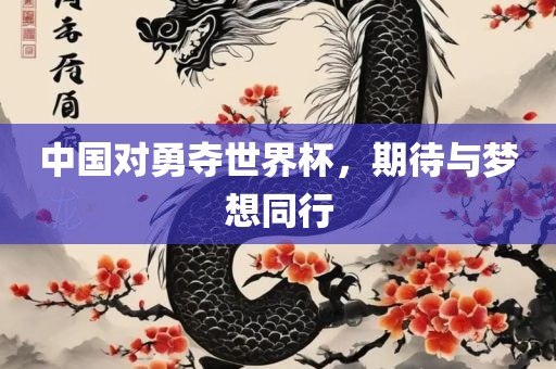 中国对勇夺世界杯，期待与梦想同行