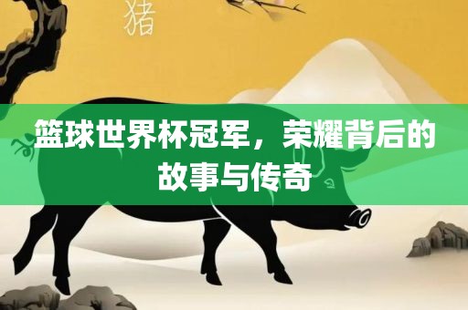 篮球世界杯冠军，荣耀背后的故事与传奇