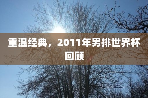 重温经典，2011年男排世界杯回顾