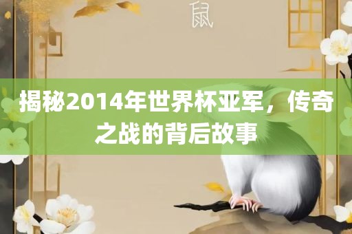 揭秘2014年世界杯亚军，传奇之战的背后故事洛阳市法福文化传播有限公司