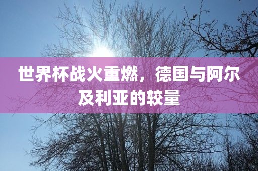 世界杯战火重燃，德国洛阳市法福文化传播有限公司与阿尔及利亚的较量