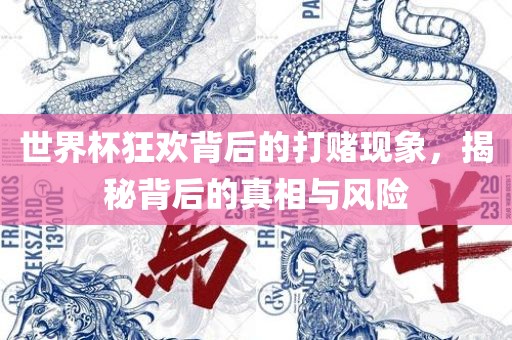 世界杯狂欢背后的打赌现象，揭秘背后的真相与风险