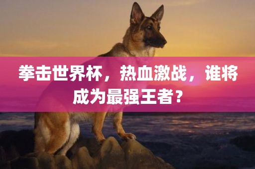 拳击世界杯，热血激战，谁将成为最强王者？