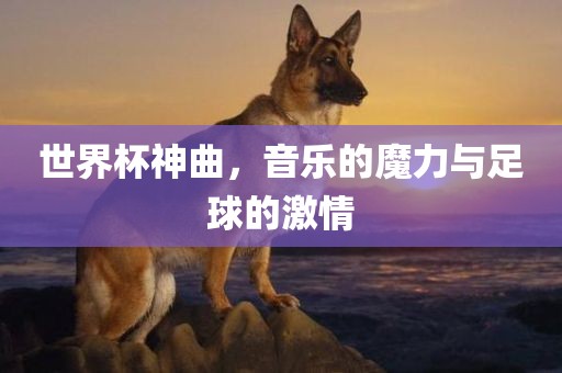 世界杯神曲，音乐的魔力与足球的激情