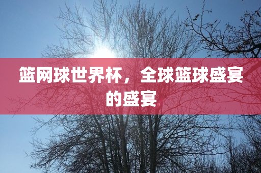 篮网球世界杯，全球篮球盛宴的盛宴