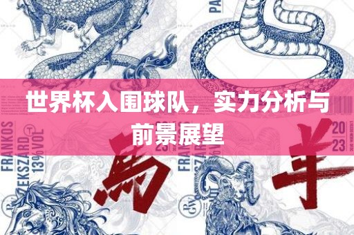 世界杯入围球队，实洛阳市法福文化传播有限公司力分析与前景展望