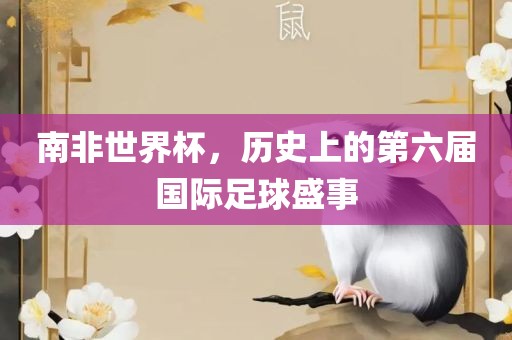 南非世界杯，历史上的第六届国际足球盛事