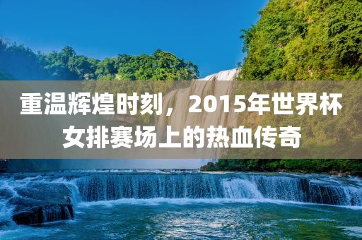 重温辉煌时刻，2015年世界杯女排赛场上的热血传奇洛阳市法福文化传播有限公司
