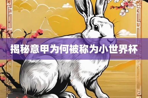 揭秘意甲为何被称为小世界杯